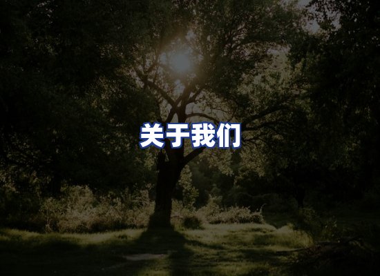 专业团队